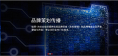銳思愛特咨詢股份有限公司