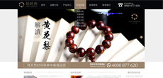 玩時(shí)尚網(wǎng)站設(shè)計(jì)